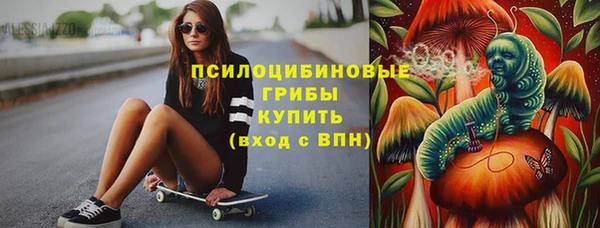 крисы Алексин