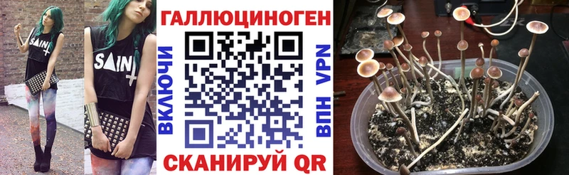 Галлюциногенные грибы Magic Shrooms  Искитим 